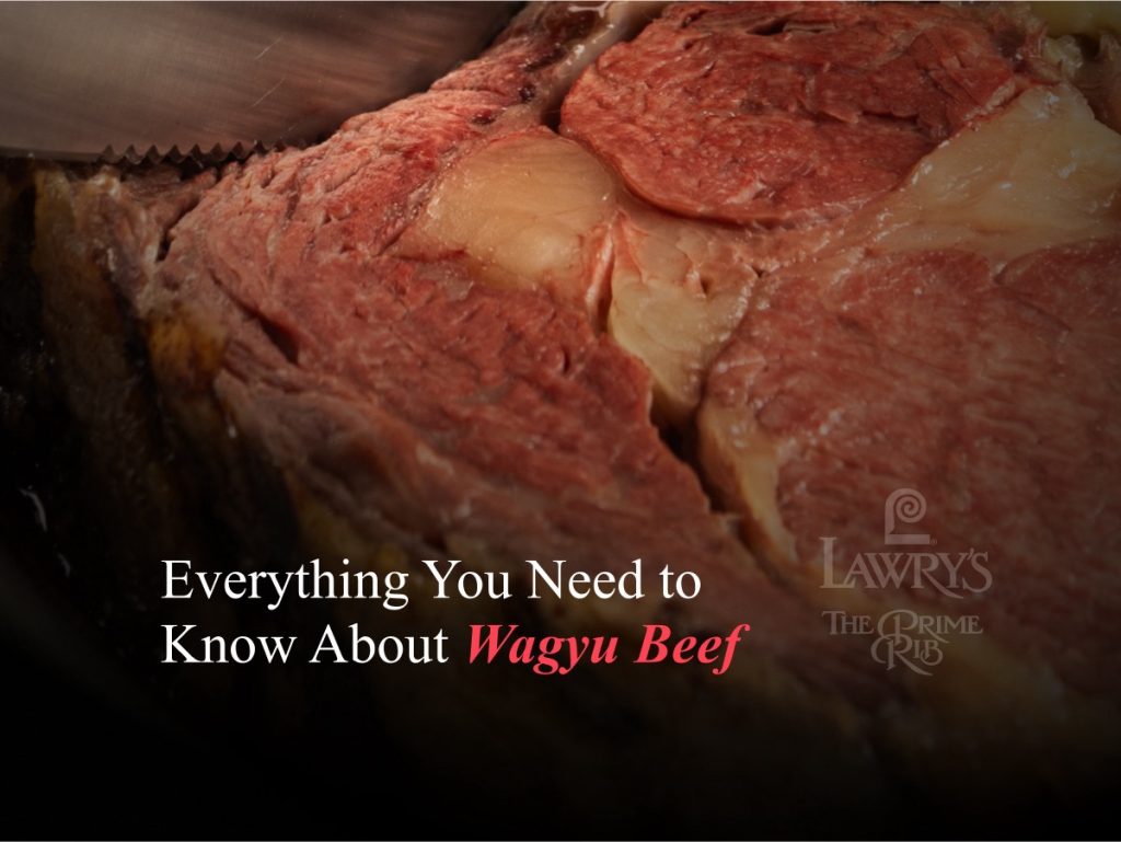 Everything You Need to Know About Wagyu Beef