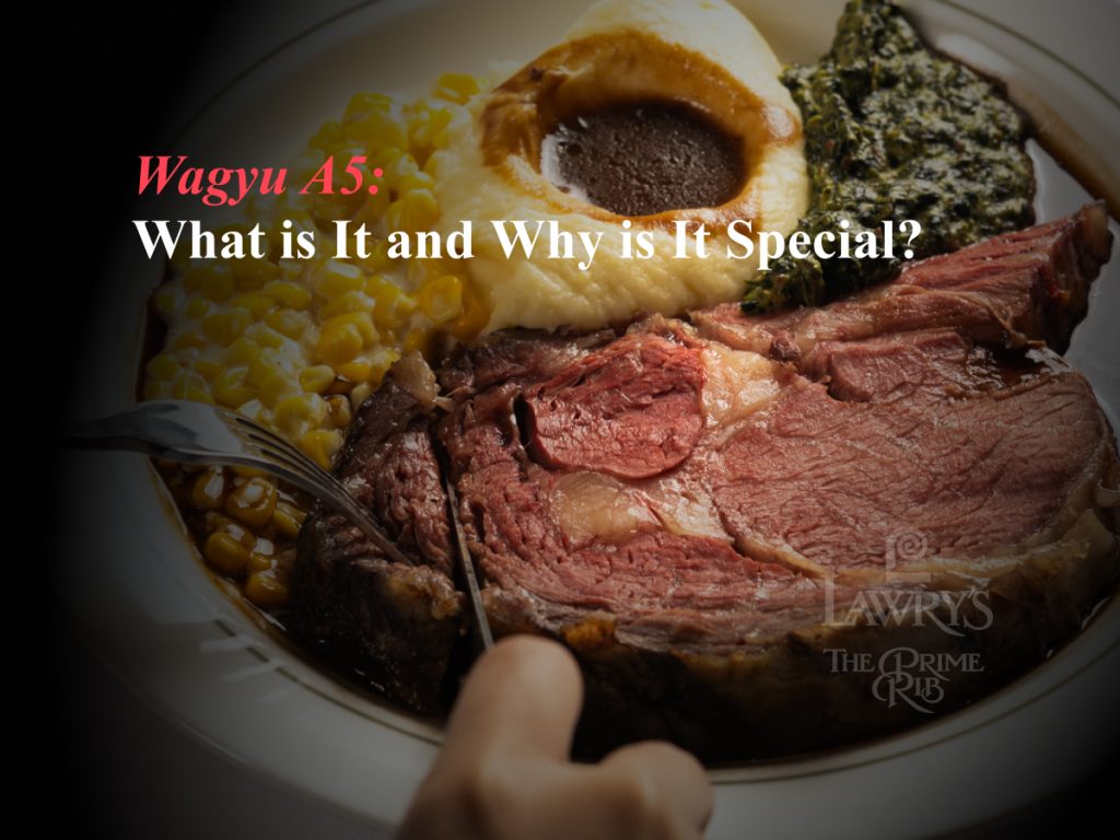 wagyu-a5-what-is-it-and-why-is-it-special