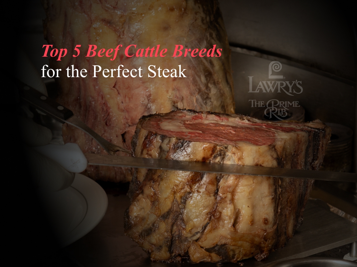 top-5-beef-cattle-breeds-for-the-perfect-steak