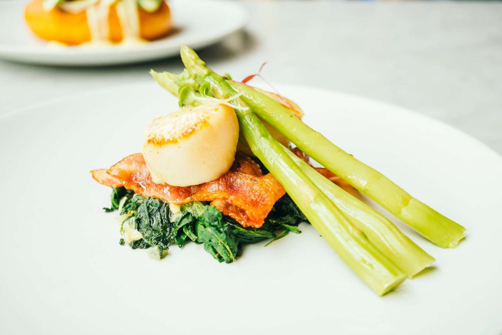 scallop